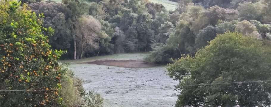 Temperatura despenca em Urupema: cidade registra –8,2 °C e paisagem de gelo
